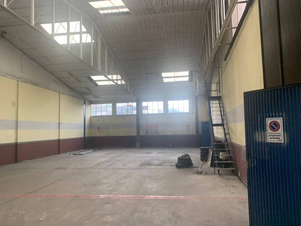 immagine annuncio 6 di 15