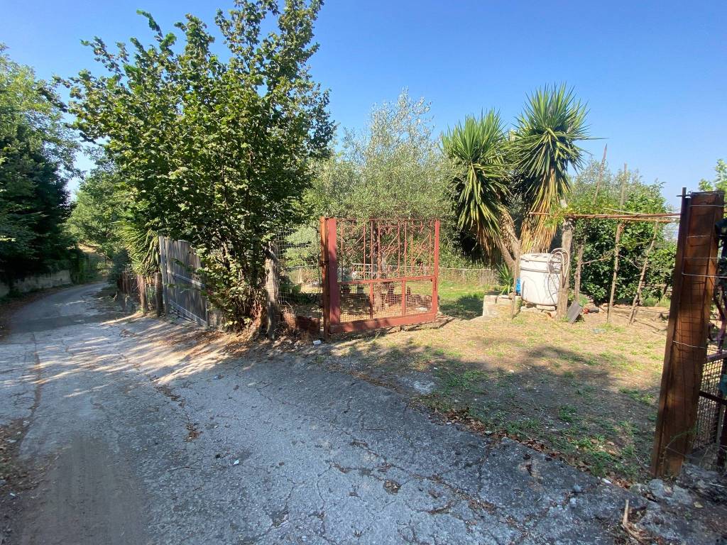 immagine annuncio 3 di 8