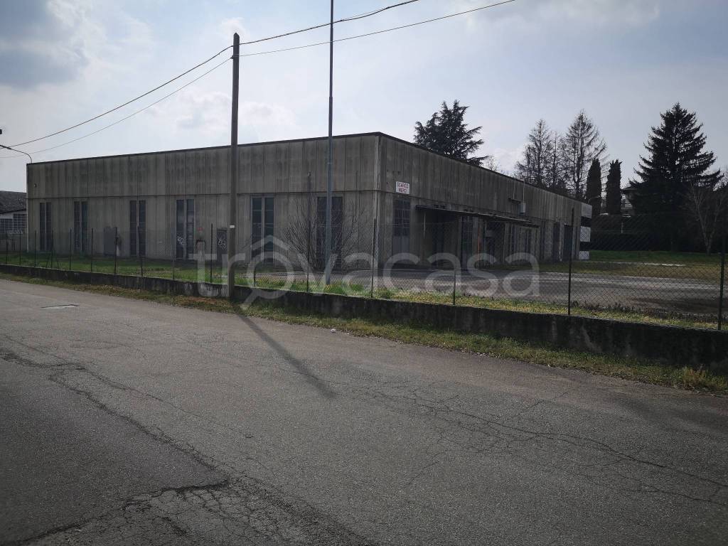 immagine annuncio 10 di 15