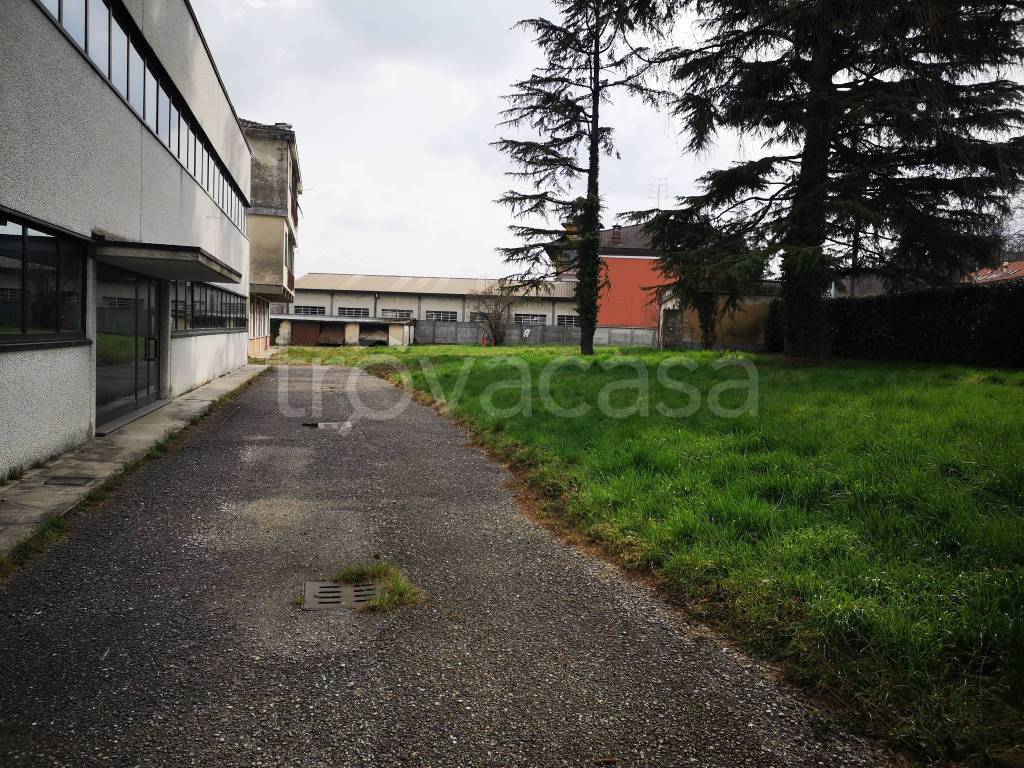 immagine annuncio 6 di 15