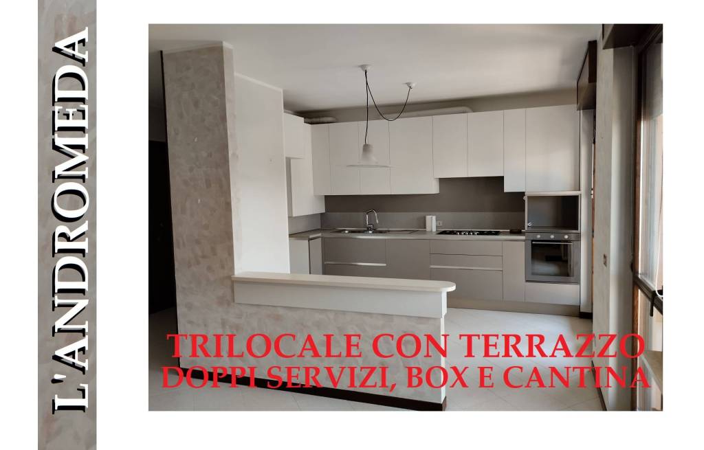 Appartamento in vendita a Rivolta d'Adda via Raffaello Sanzio, 10
