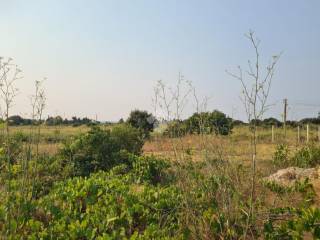 Terreno agricolo in vendita a gallipoli contrada trappeto rosso