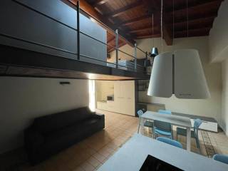 Loft in in affitto da privato a piacenza via 20 settembre, 98