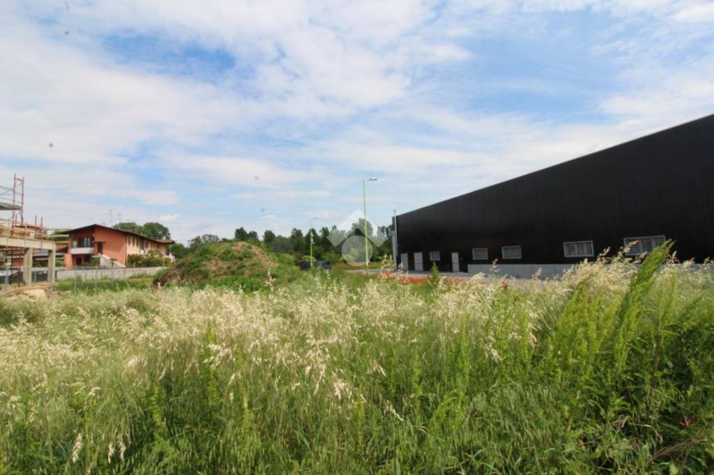 immagine annuncio 9 di 13