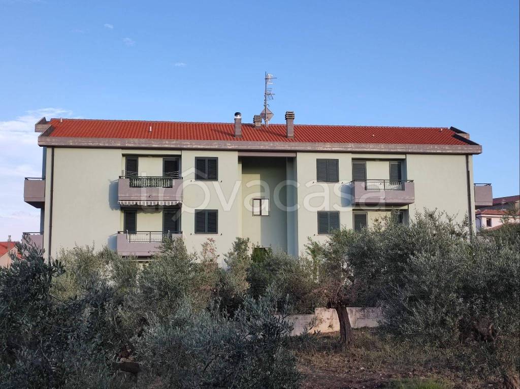 Appartamento in in vendita da privato a Rotello via Giuseppe Verdi Traversa 1, 17