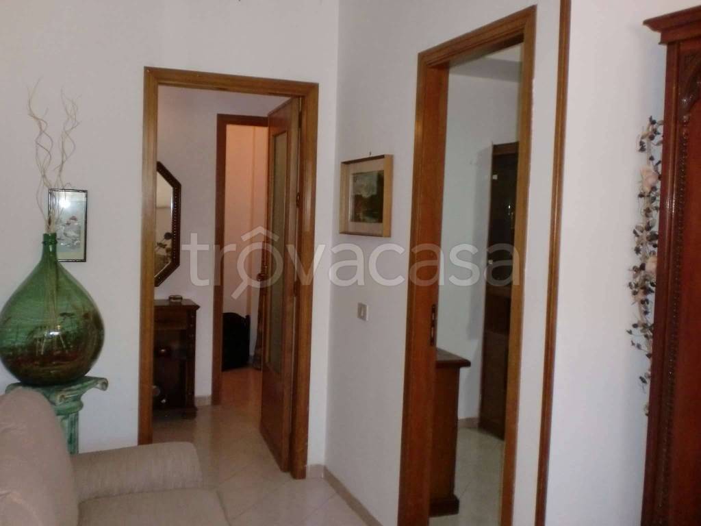 immagine annuncio 12 di 14