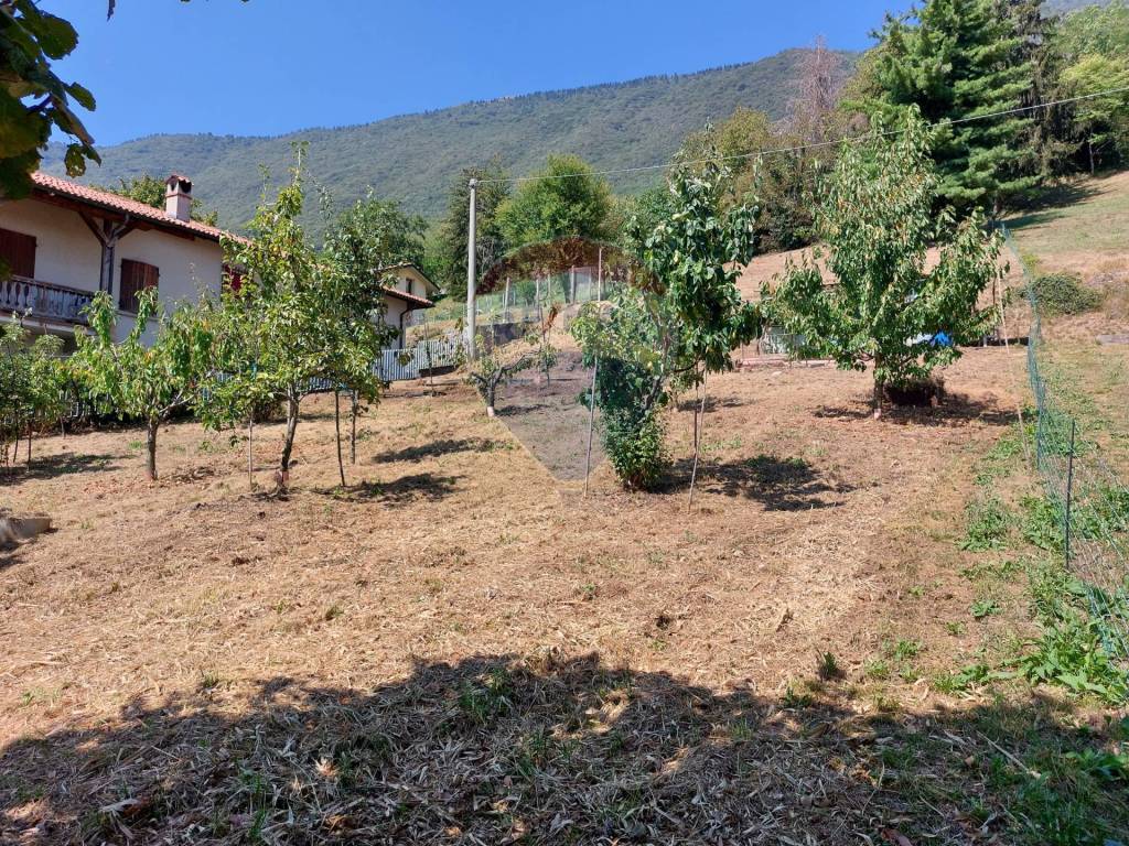 immagine annuncio 7 di 15