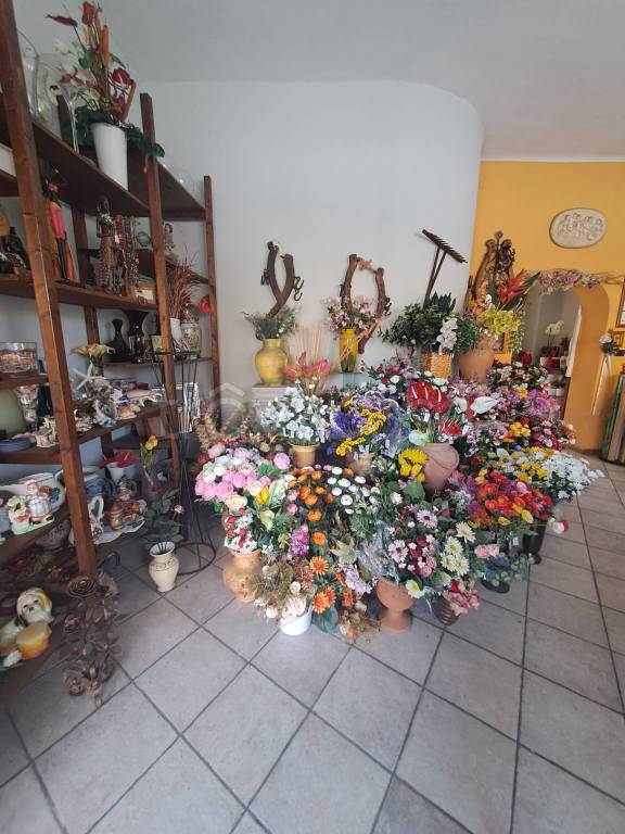 immagine annuncio 6 di 9