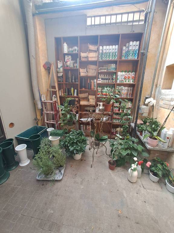 immagine annuncio 8 di 9