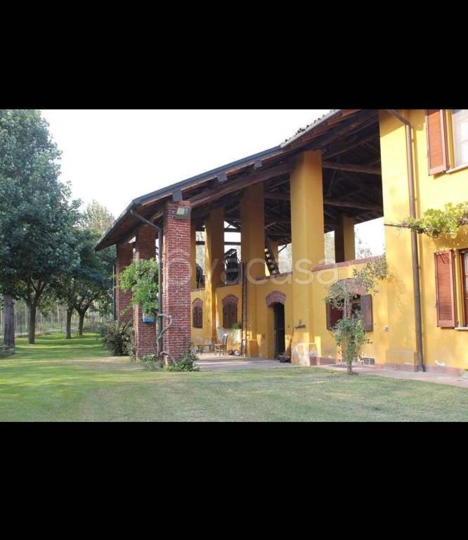 immagine annuncio 5 di 15