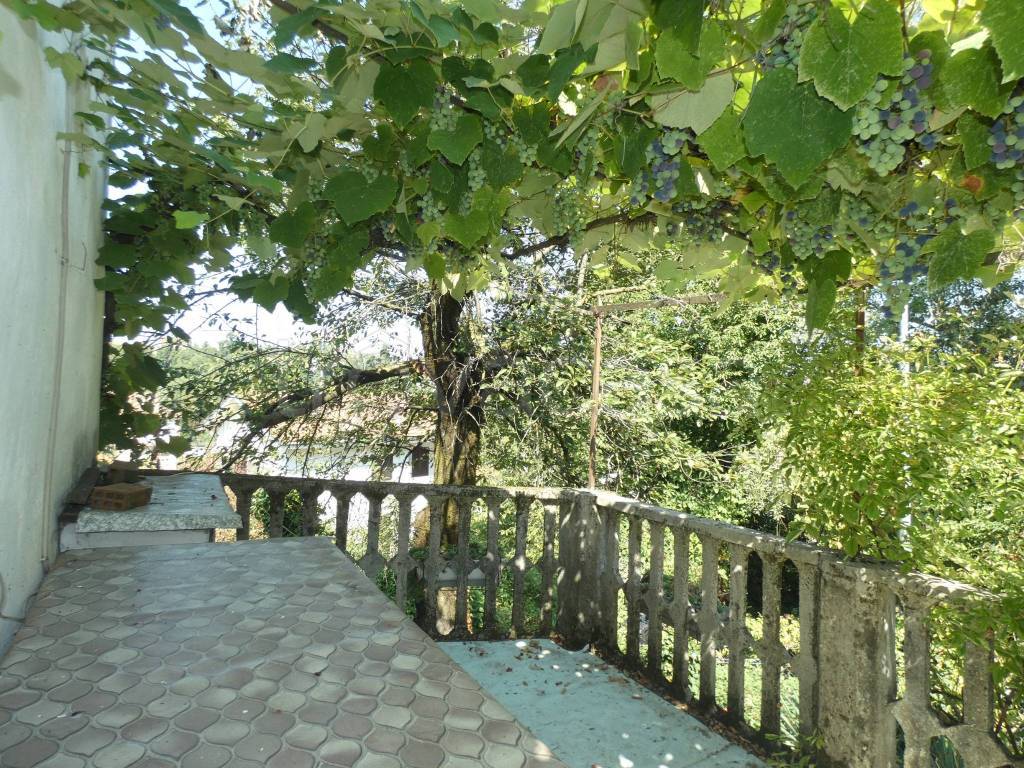 immagine annuncio 7 di 11