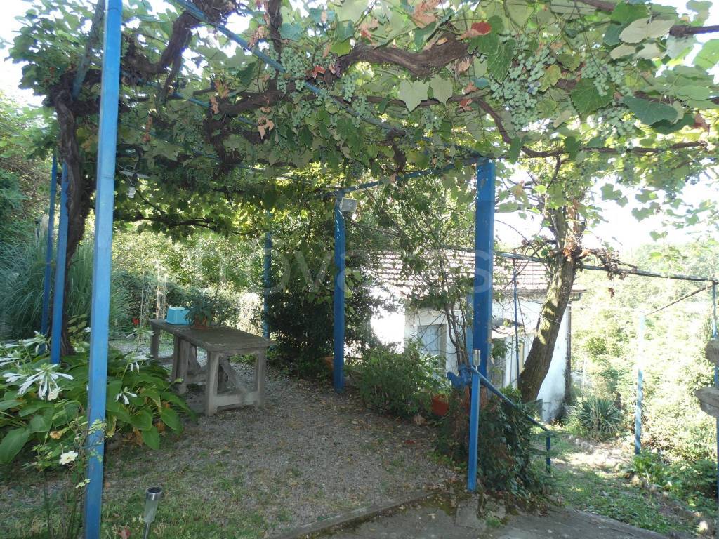 immagine annuncio 8 di 11