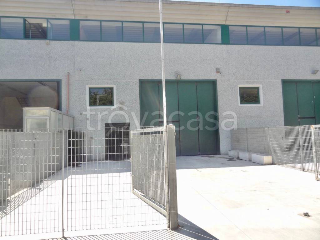 immagine annuncio 10 di 15