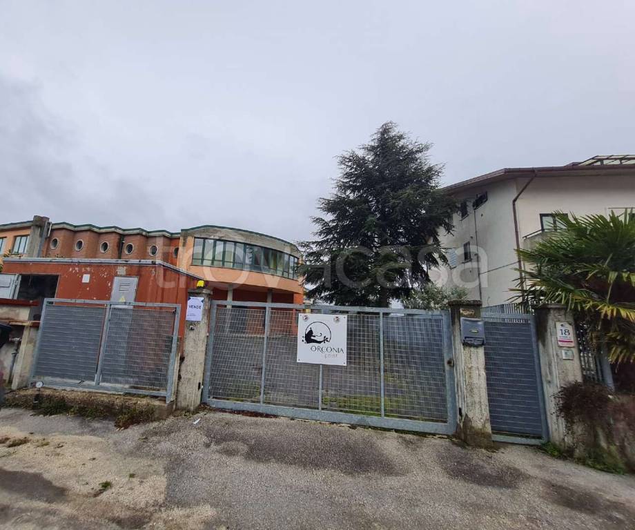 immagine annuncio 3 di 11