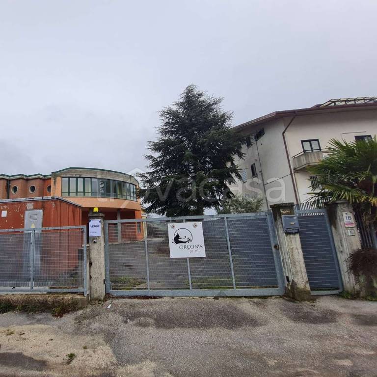 immagine annuncio 4 di 11