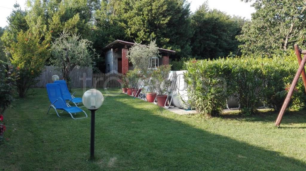 immagine annuncio 7 di 15