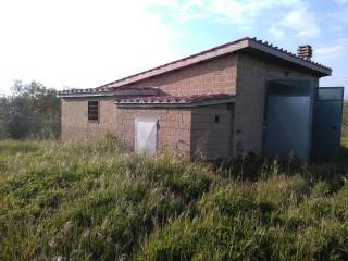 Terreno agricolo in vendita a sorano strada provinciale barcatoio, 54