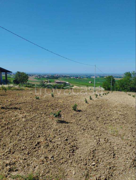 Terreno Residenziale in vendita a Ziano Piacentino località Albareto, 41