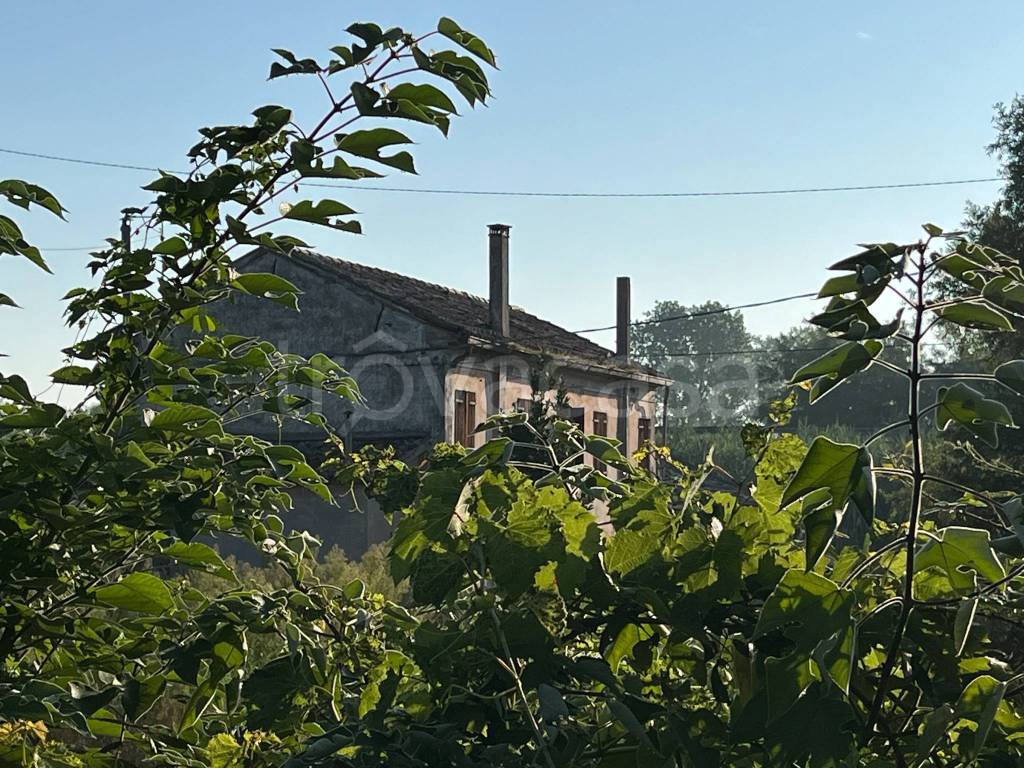 immagine annuncio 1 di 8