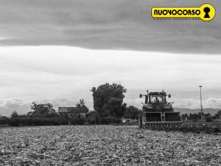 Terreno agricolo in vendita ad adria 