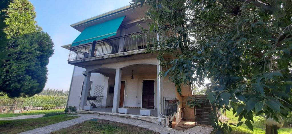 immagine annuncio 4 di 15