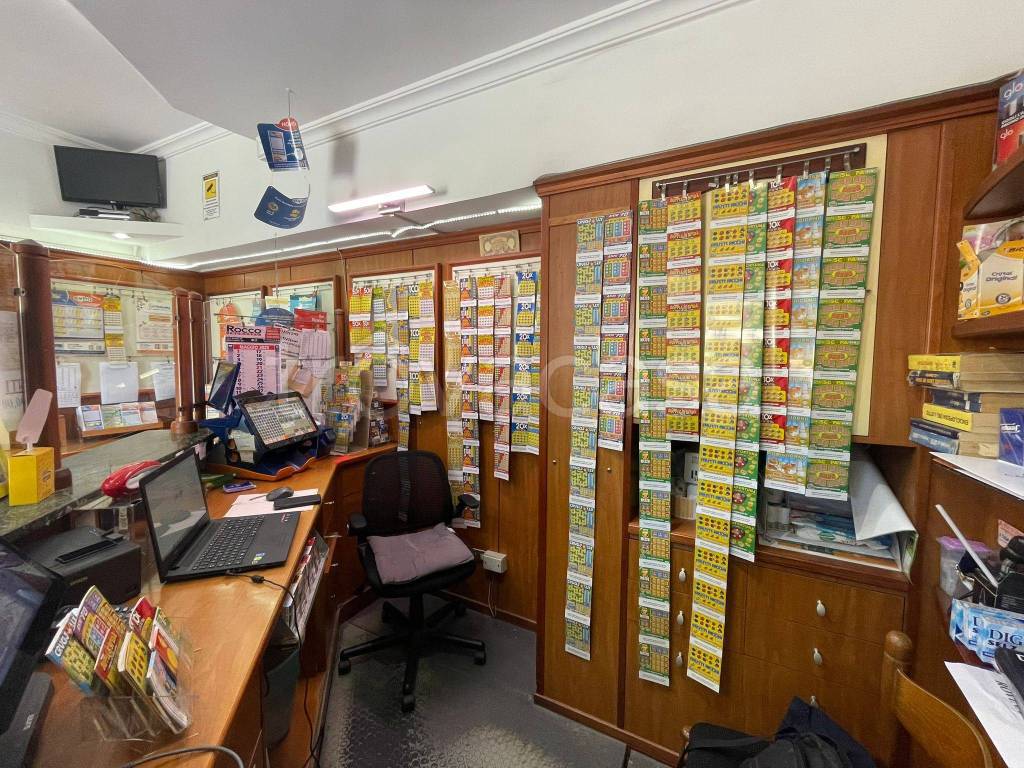 immagine annuncio 11 di 15