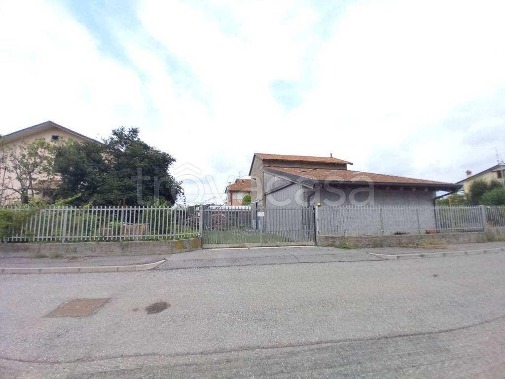 immagine annuncio 12 di 15