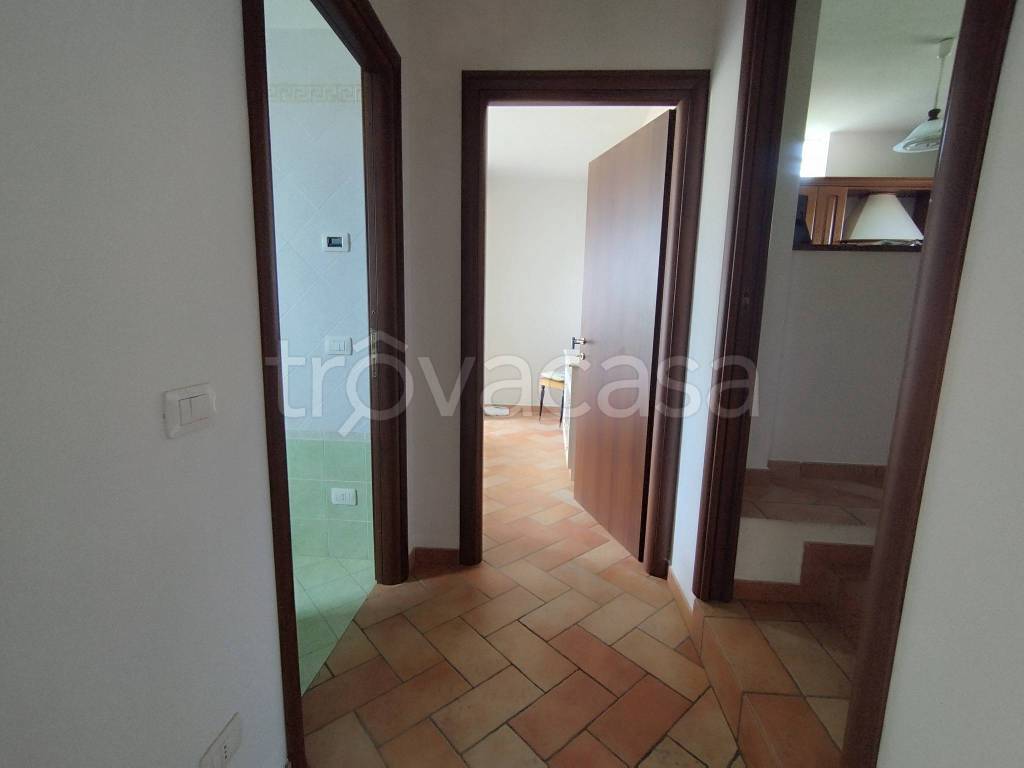 immagine annuncio 11 di 14