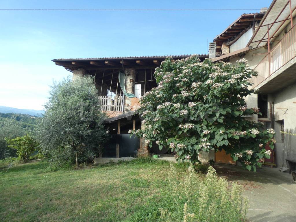 immagine annuncio 10 di 13