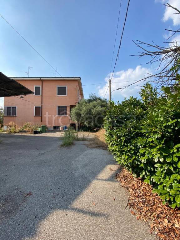 immagine annuncio 1 di 6