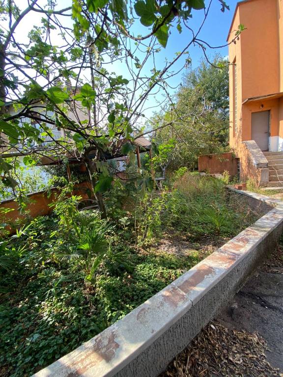 immagine annuncio 4 di 6