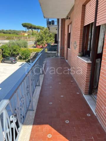 immagine annuncio 7 di 9