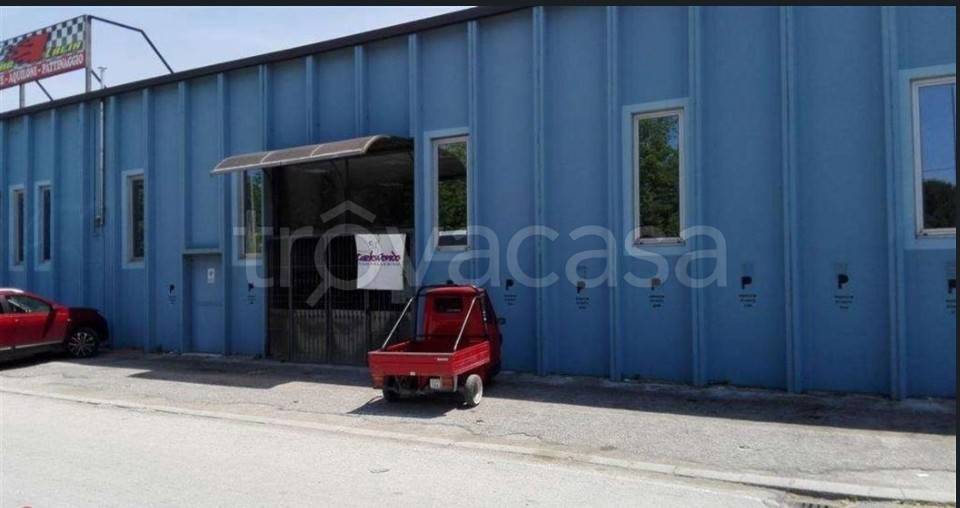 immagine annuncio 1 di 14