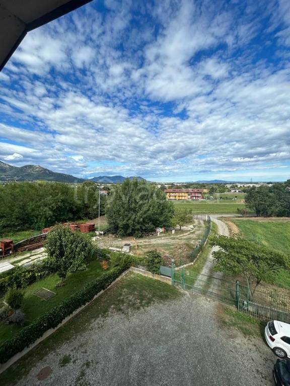 immagine annuncio 9 di 13