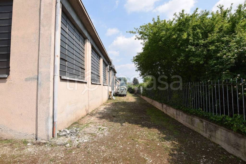 immagine annuncio 10 di 11