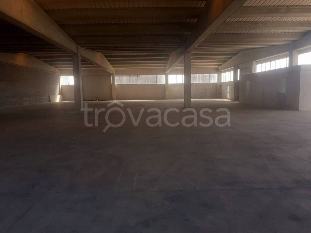 immagine annuncio 4 di 6