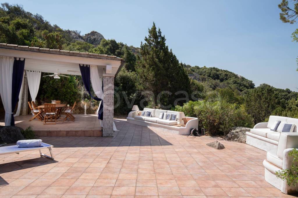 immagine annuncio 11 di 14