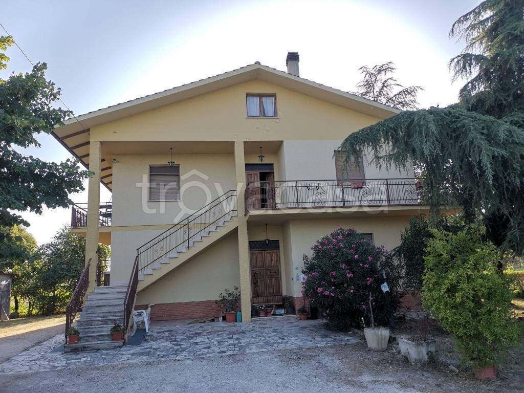 Villa Bifamiliare in in vendita da privato a Treia contrada Berta