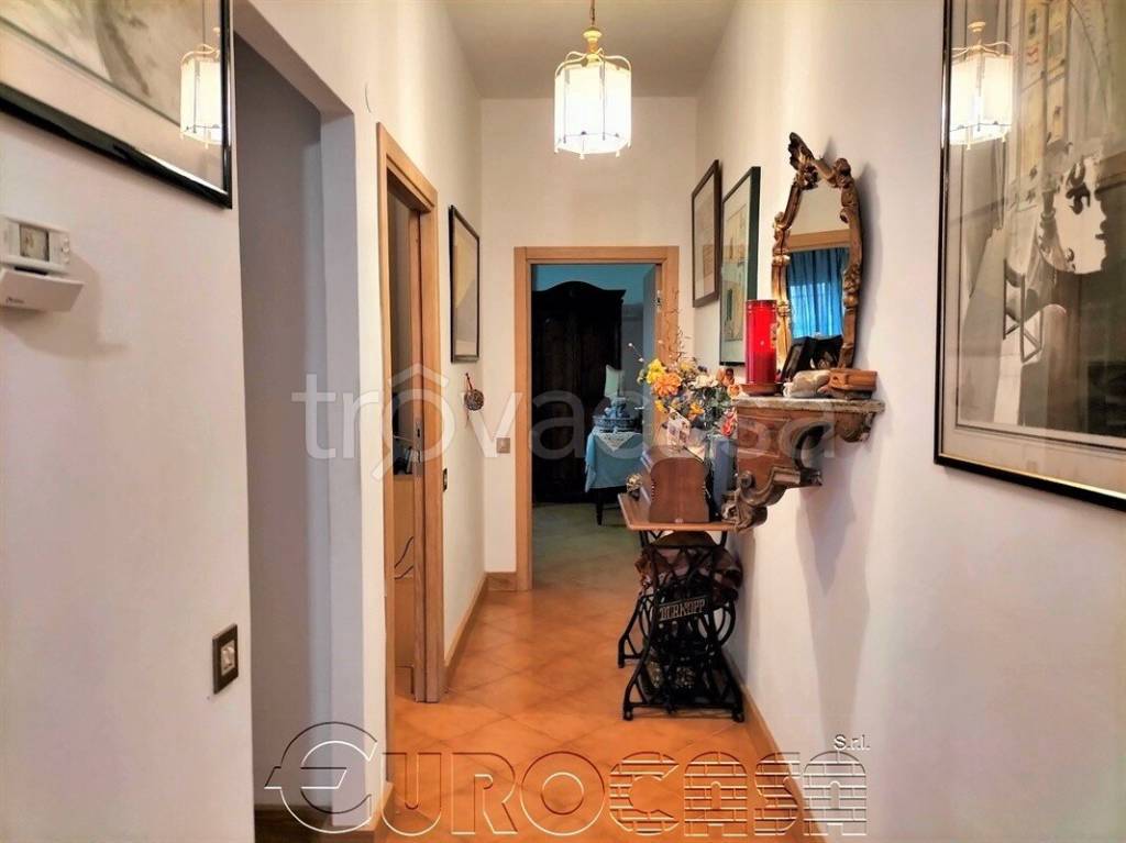 immagine annuncio 11 di 14