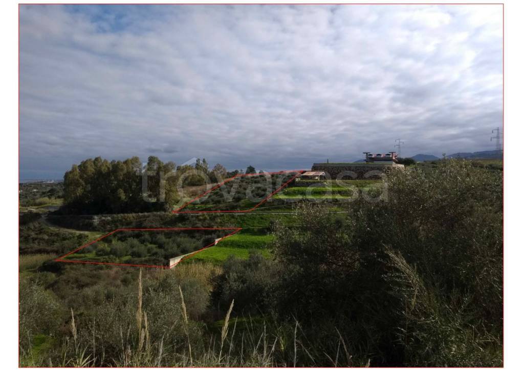 immagine annuncio 2 di 3