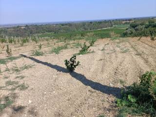 Terreno residenziale in vendita a ziano piacentino 