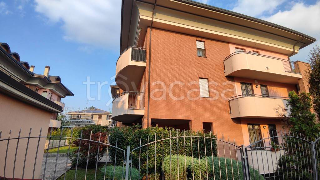 immagine annuncio 6 di 15