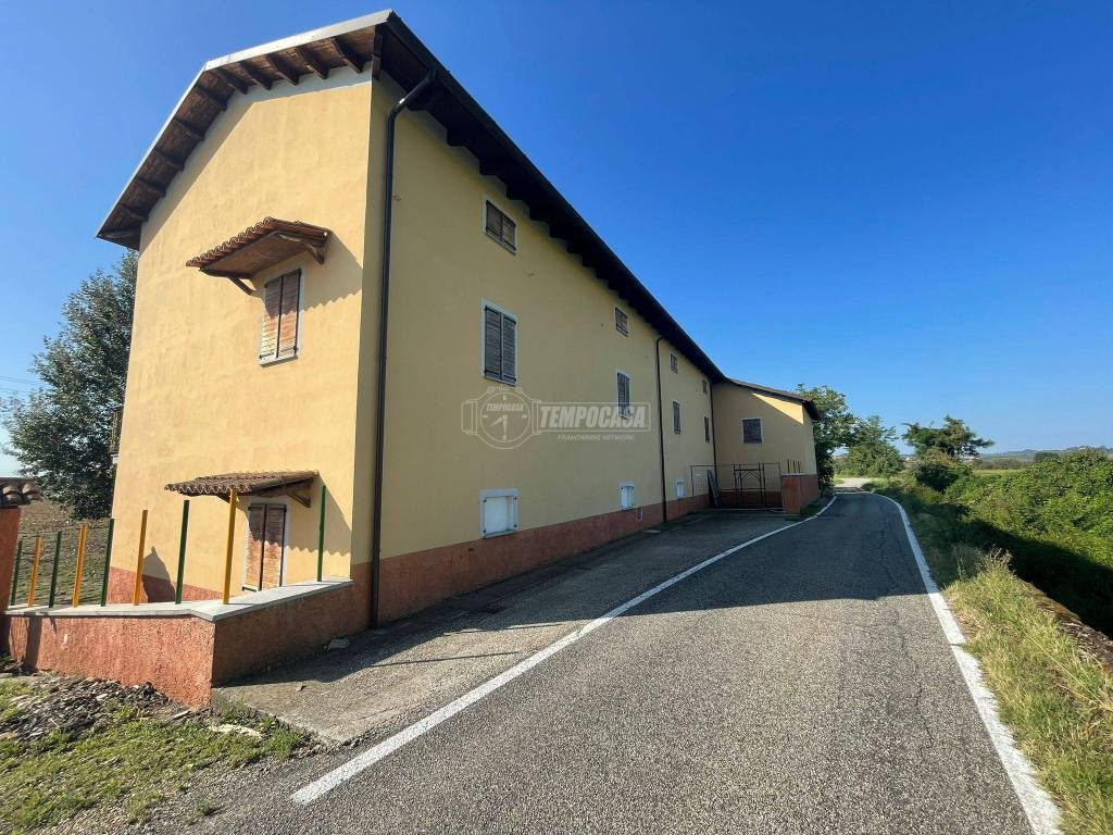 immagine annuncio 4 di 12