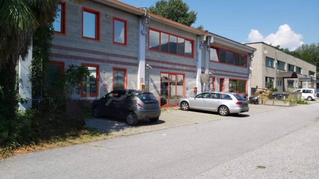 immagine annuncio 1 di 12