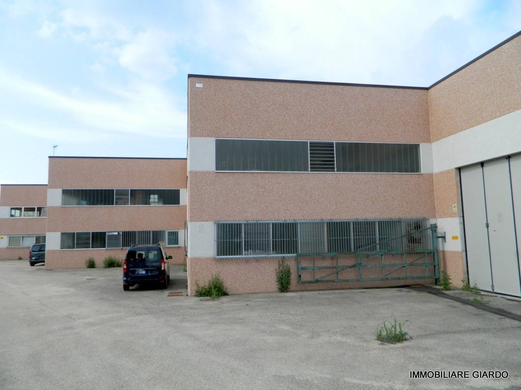 immagine annuncio 2 di 14