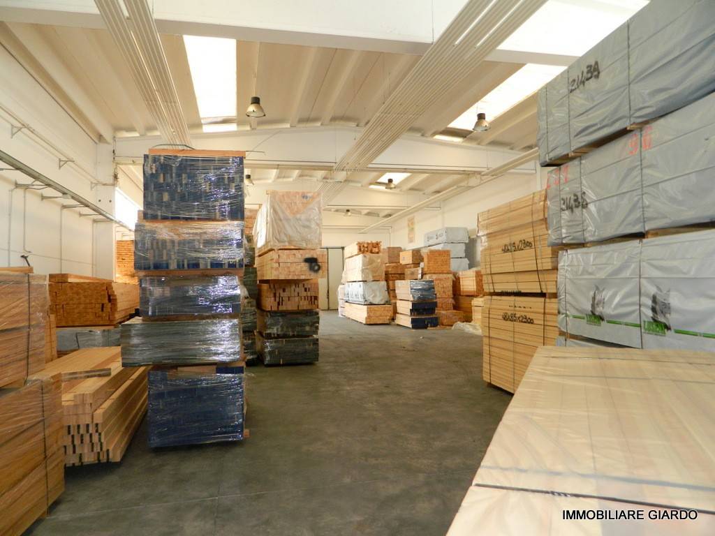 immagine annuncio 6 di 14