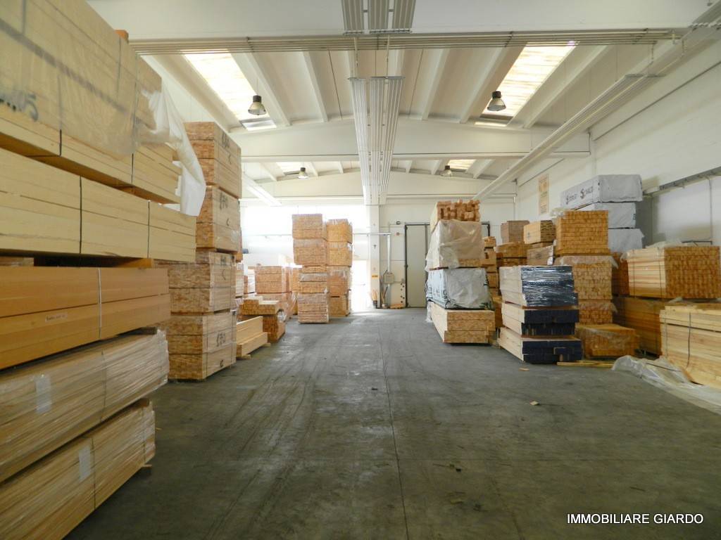 immagine annuncio 7 di 14