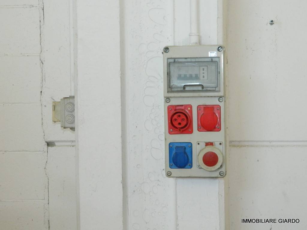 immagine annuncio 8 di 14