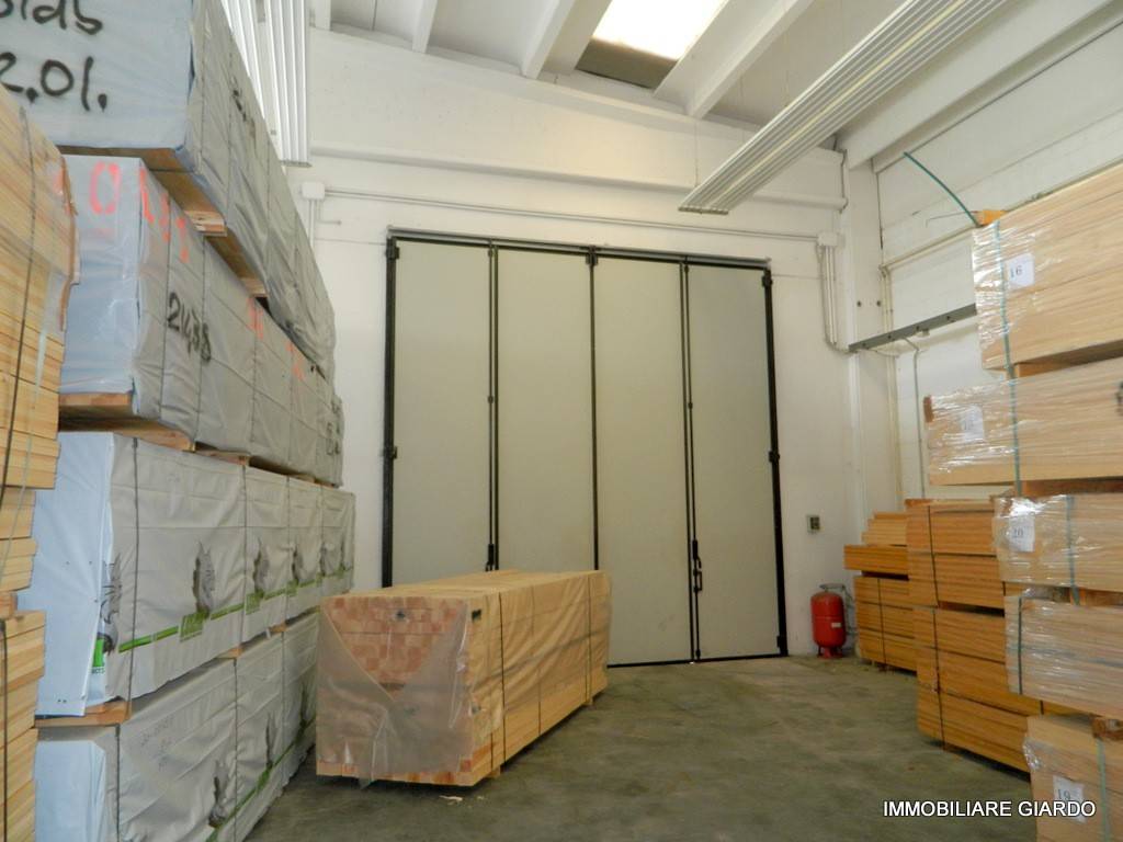 immagine annuncio 10 di 14