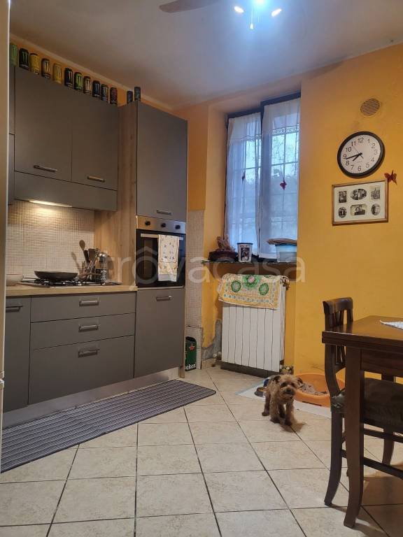 immagine annuncio 1 di 14